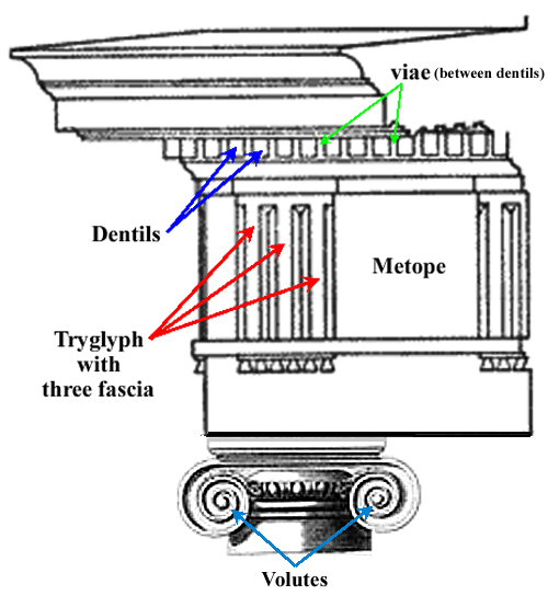 Dentils+viae+volutes