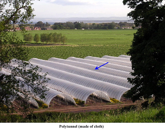 polytunnel